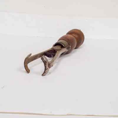 Globe removal tool