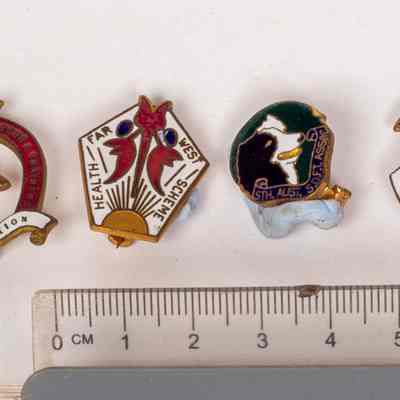 Badges