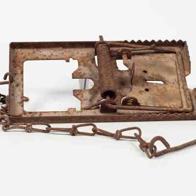Metal rat trap
