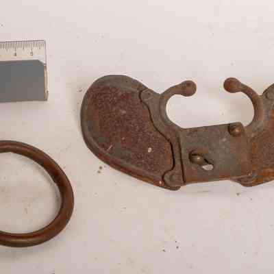 Calf weening straps