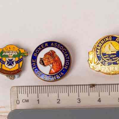Badges