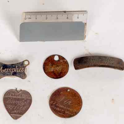 A group of lost dog tags.