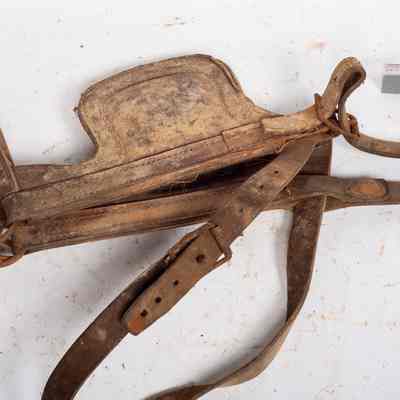 Harness