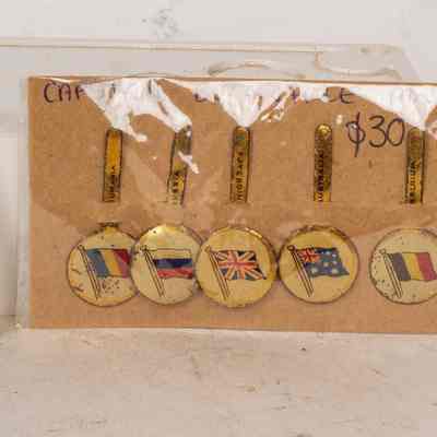 Buttonhole Pins