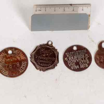 A group of lost dog tags.