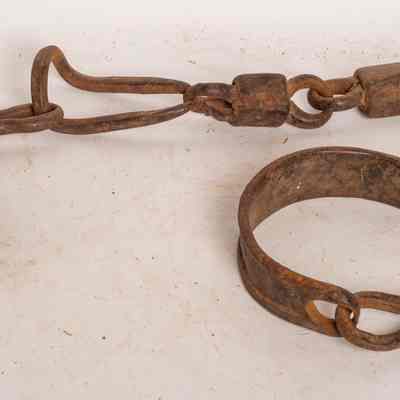 Camel hobbles
