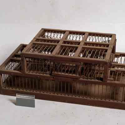 Sparrow Trap