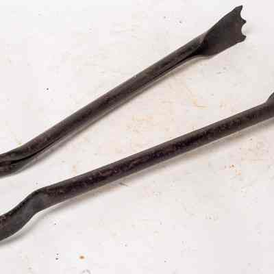 Briquet Tongues