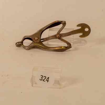 Japanese Skirt Lifter