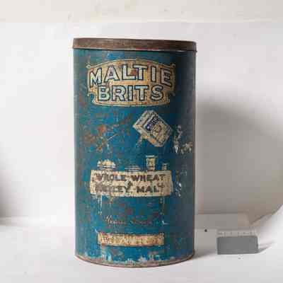 Maltie Brits tin