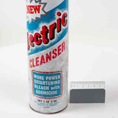 Electric cleanser