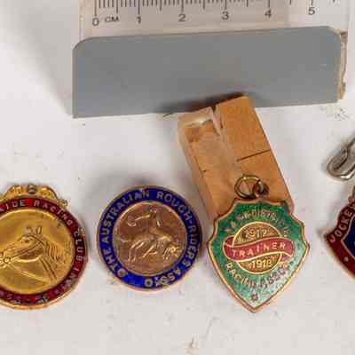 Enamel Badges