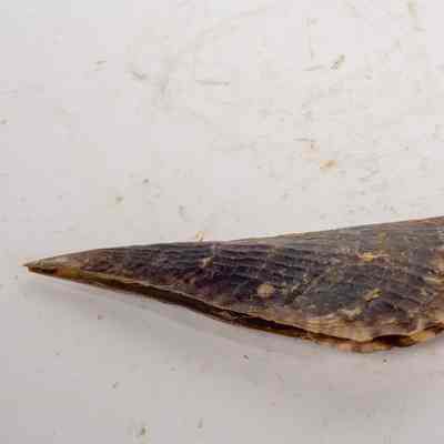 Razorfish
