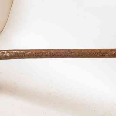 Chicory Hoe
