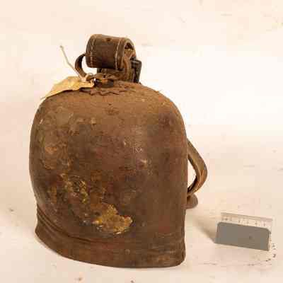 Bell, Camel