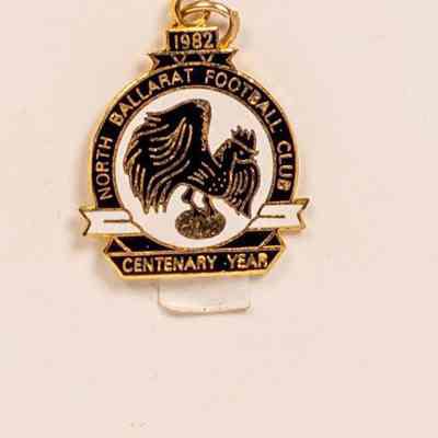 Enamel Badge