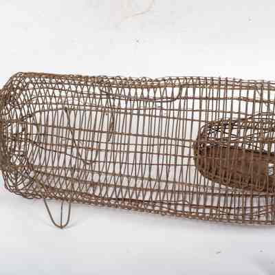 Mouse Trap