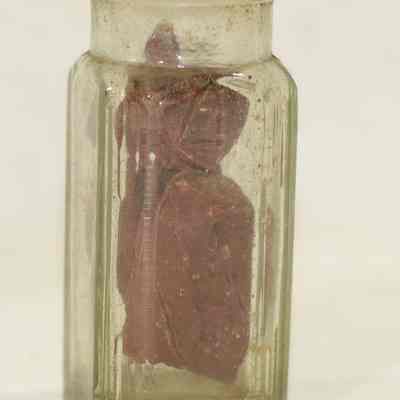 Holbrooke's bottle