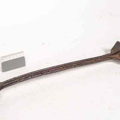 Pig Restrainer