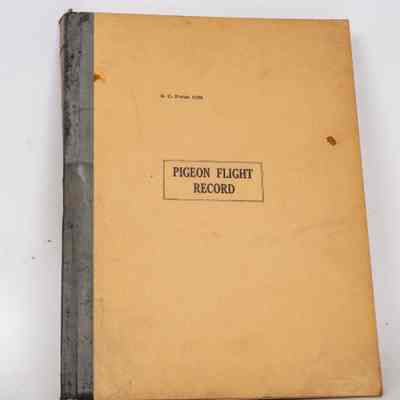 Pigeon Flight Record