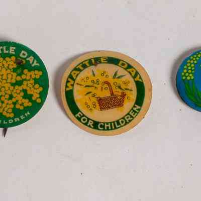 Wattle day badges