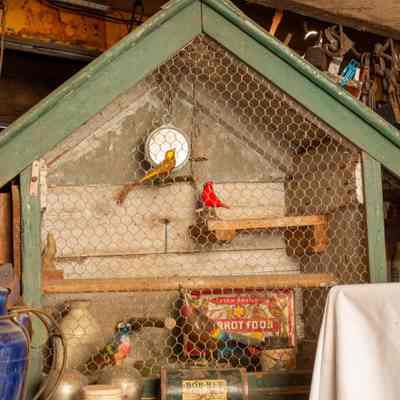 Bird cage