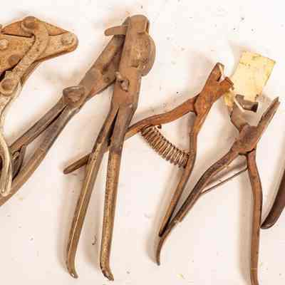 Sheep husbandry tools