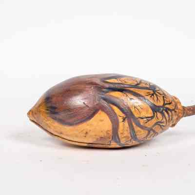Boab nut art