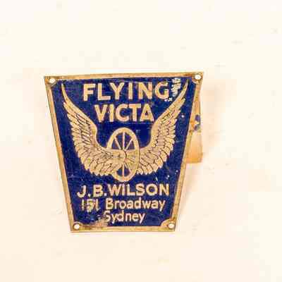 Head Stem Badge