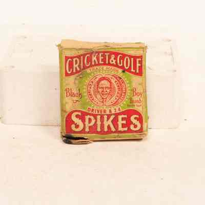 Golf / cricket spikes