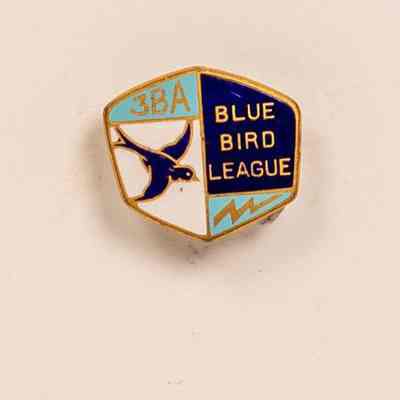 Enamel Badge