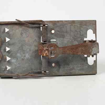 Metal Rat trap
