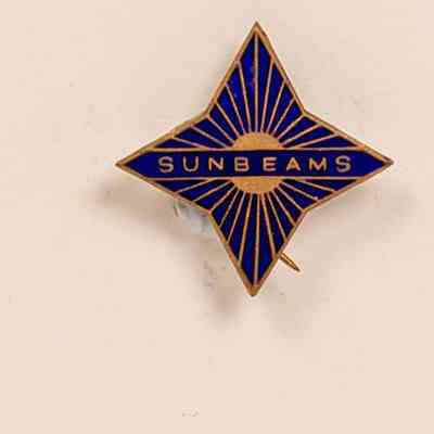 Enamel Badge