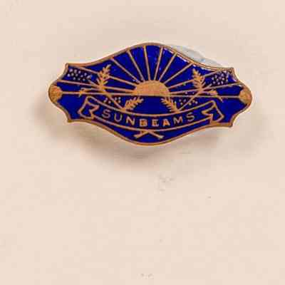 Enamel Badge