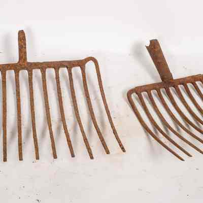 Miners forks
