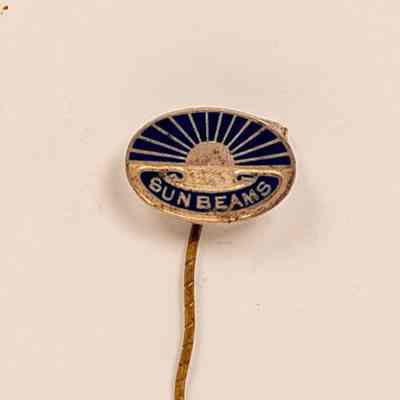 Stick Pin Badge