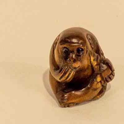 Japanese Carved Nescare