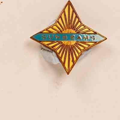 Enamel Badge