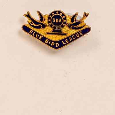 Enamel Badge
