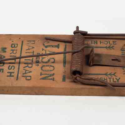 Rat trap