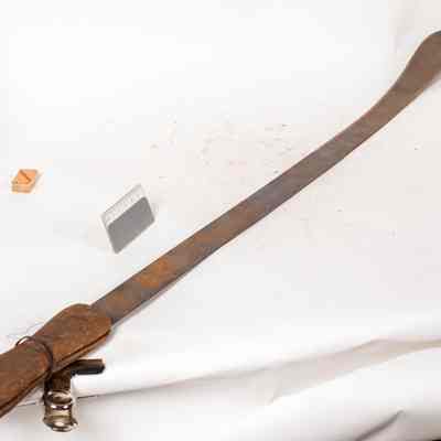 Asparagus cutter