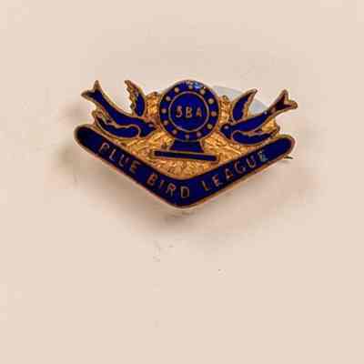 Enamel Badge