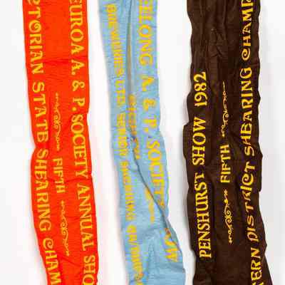 Sashes
