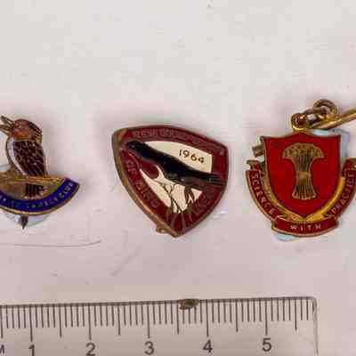 Badges