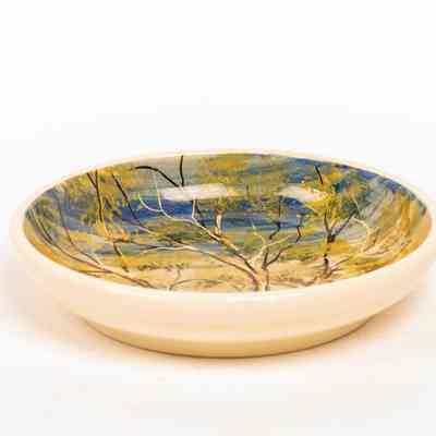 Saucer