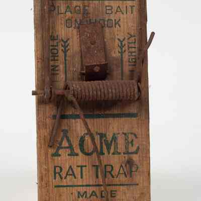 Wooden rat trap