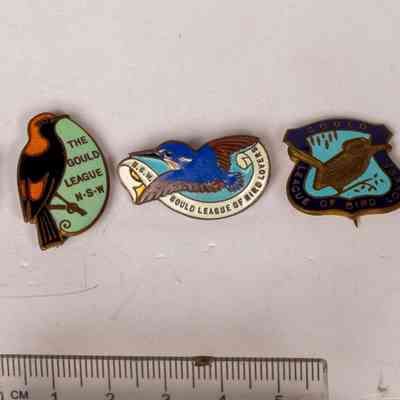 Badges