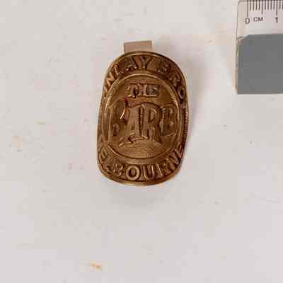Head Stem Badge