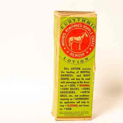 medical treatment horse