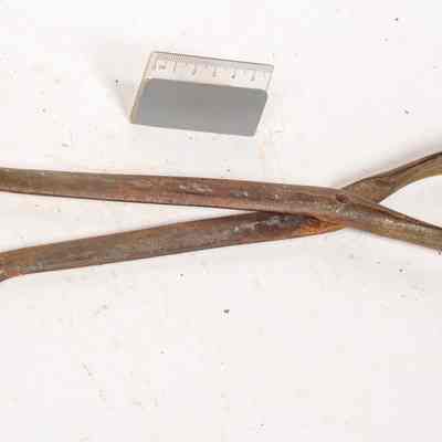 Tongs